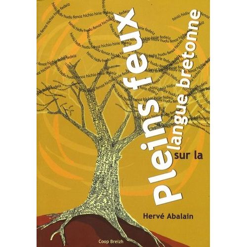 Pleins Feux Sur La Langue Bretonne
