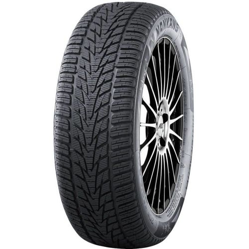 Pneu Nankang Winter Activa 4 ( 195/55 R20 95H XL )