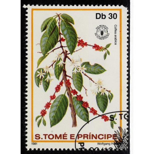 Timbre Coffea Arabica,S.Tomé E Principe,Db 30,1981.