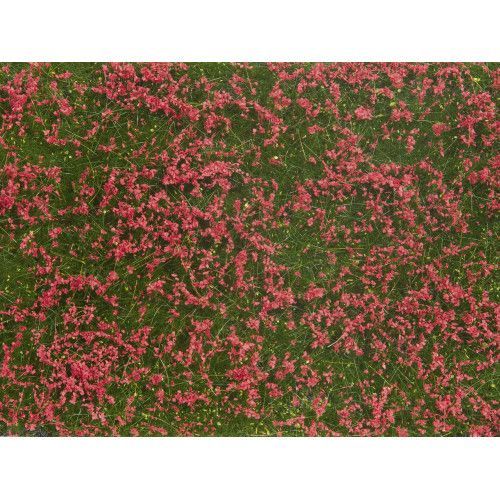 Noch-07257 Foliage De Couverture Végétale, Pré Rouge-Noch-07257 Foliage De Couverture Végétale, Pré Rouge (Noch)