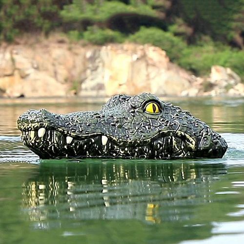 Tête De Crocodile De Bateau Télécommandé, 2.4g, Bateau Radiocommandé, Parodie Gator