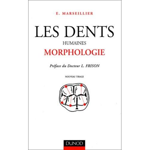 Les Dents Humaines - Morphologie