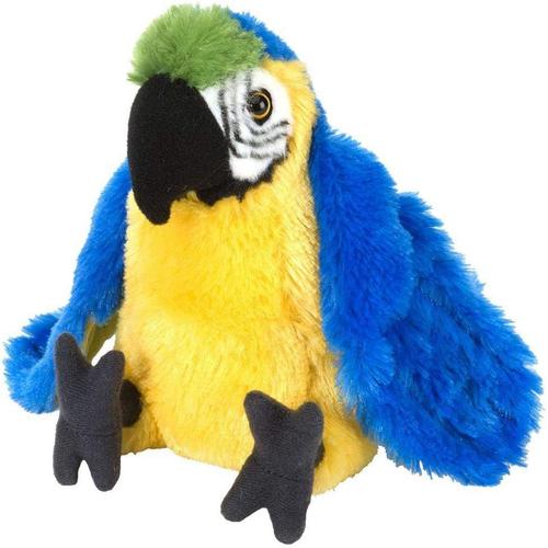 Peluche Macaw Perroquet De 20 Cm Coloré