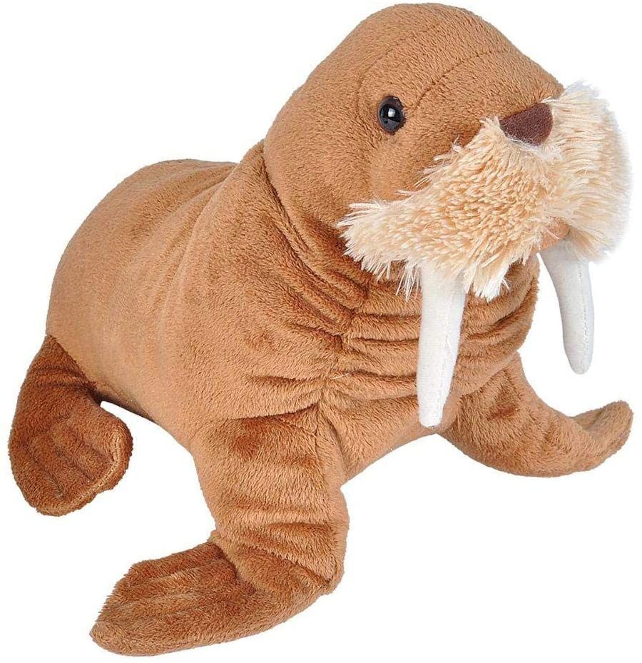 Peluche Morse De 20 Cm Marron