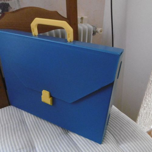 Valisette De Classement Polypropylene Dos 50mm Bleu Esselte 847630
