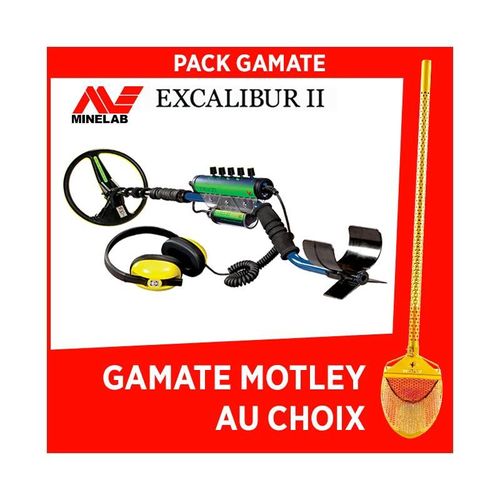 Détecteur de Métaux Minelab Ex