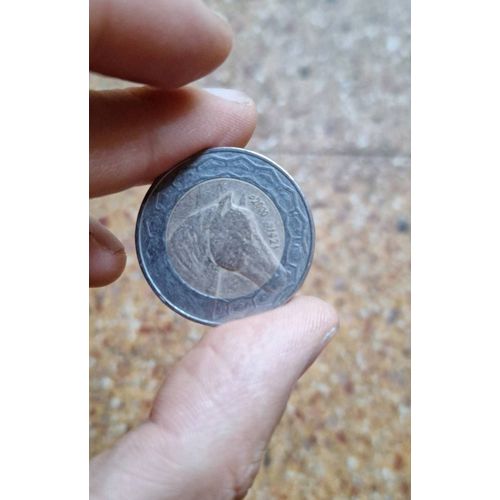 100 Dinar Algérien. Masse, 11,00 G · Diamètre, 29,50 Mm. Épaisseur, 2,30 Mm. Tranche ... Tête De Cheval (Pur-Sang Amazigh). Année De La Gravure, 1993. Revers.