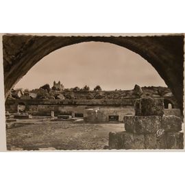 Carte Postale Ancienne, Tunisie, Carthage L'amphithéâtre Romain