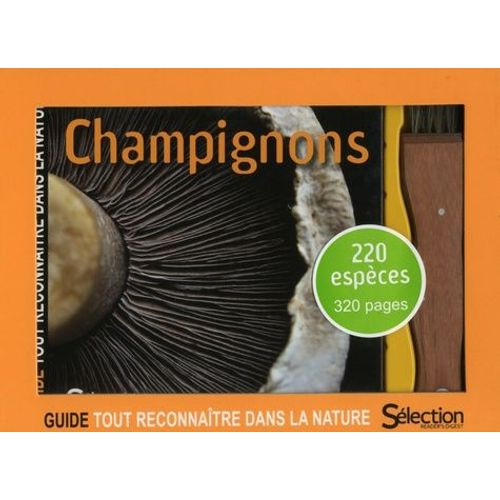 Champignons