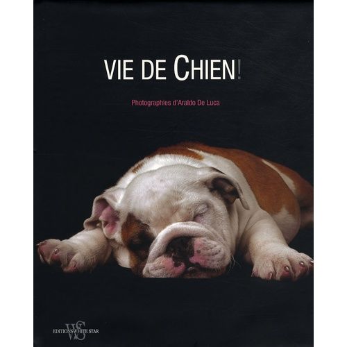 Vie De Chien !