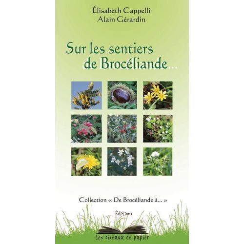 Sur Les Sentiers De Brocéliande