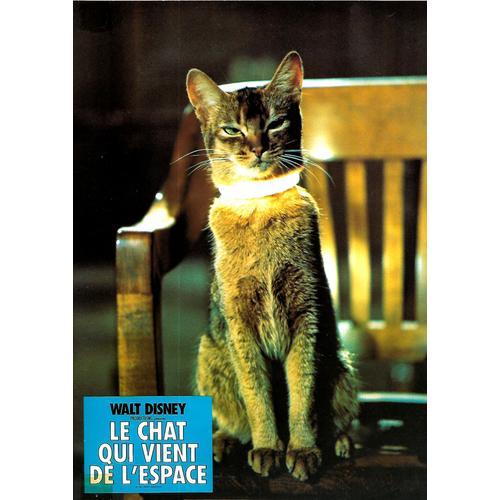 Le Chat Qui Viens De L'espace - Norman Tokar - Walt Disney - Jeu De 8 Photos Couleurs Originale Cinéma - 23.5 X 29.5 - 1978 -