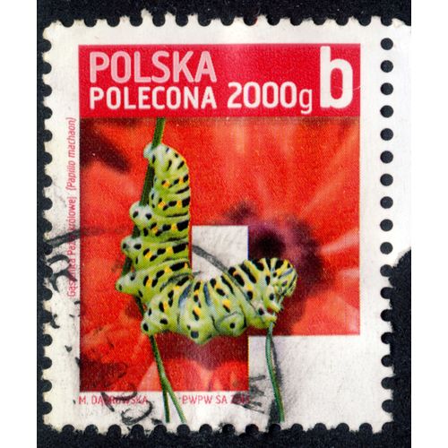 Timbre Gasienica Pazia Krolowej,Papilio Machaon,Polska,Polecona,2000g,B,2013