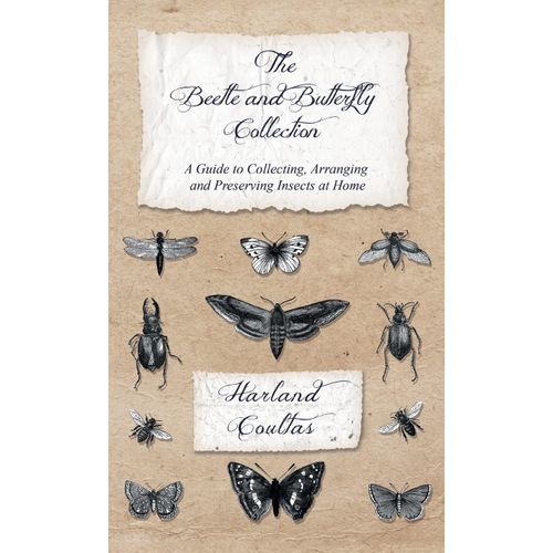Beetle And Butterfly Collection - A Guide To Collecting, Arranging And Preserving Insects At Home