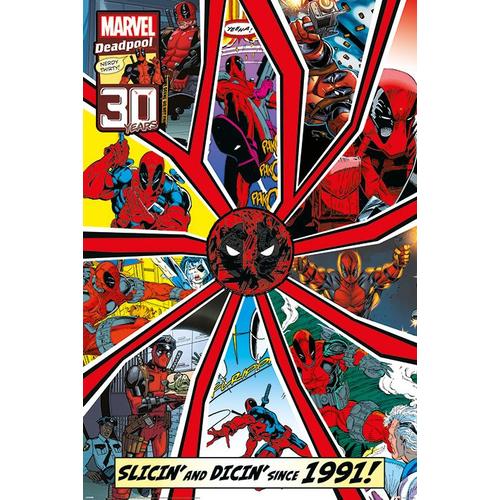 Deadpool - Shattered - 61x91,5cm - Affiche / Poster Envoi Roulé