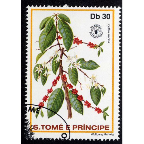 Timbre Coffea Arabica,S.Tomé E Principe,Db 30,1981.