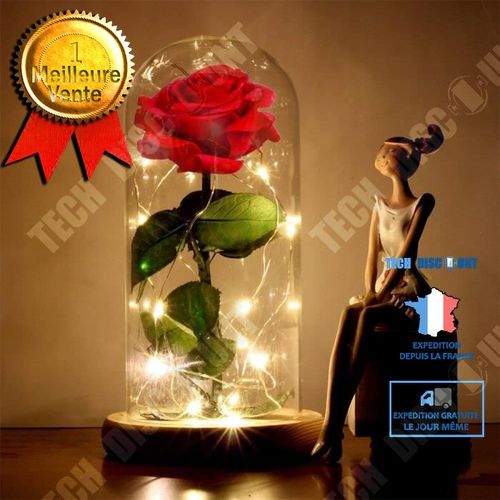 Rose Éternelle Sous Cloche Cadeau Coffret En Verre La Belle Et La Bête Lumineux Led Socle Bois Tige Feuilles Vertes Rouge À Pile