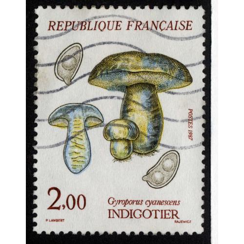 Timbre : 1987 Indigotier Gyroporus Cyanescens,République Française,2,00.Postes