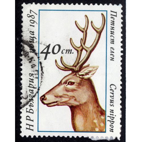Timbre Bulgarie ,Cervus Nippon,1987