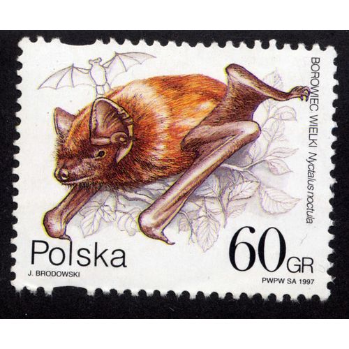 Timbre Polska,Borowiec Wielki,Nyctalus Noctula,1997,60gr