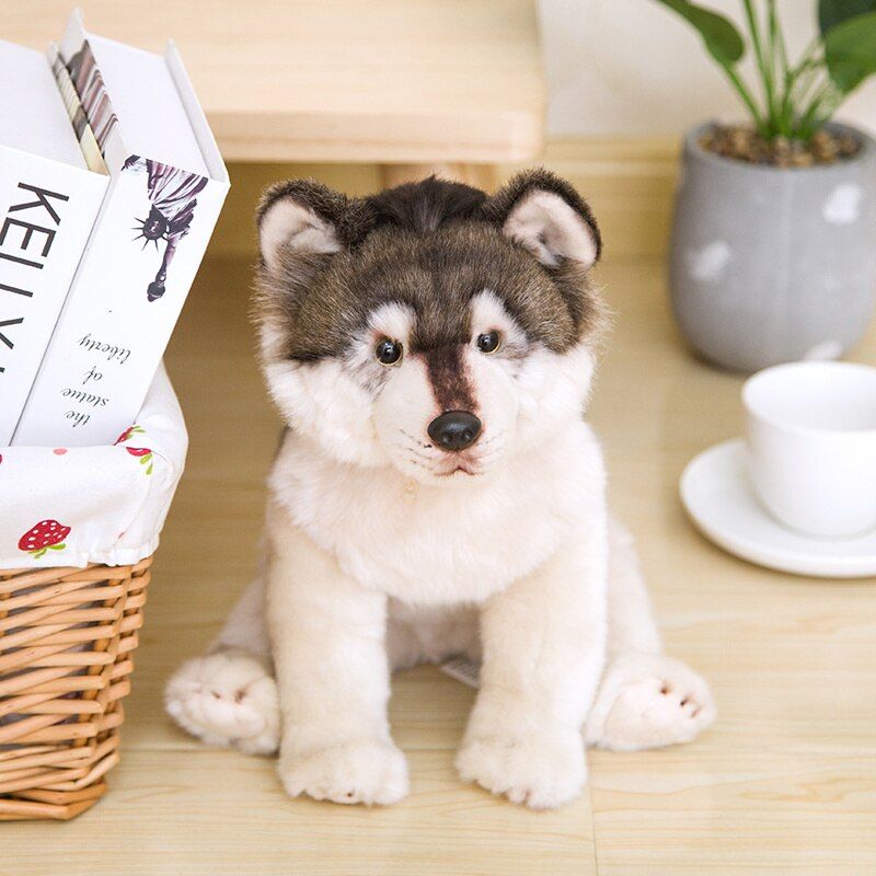 Bebe Chien Loup Au Meilleur Prix Neuf Et Occasion Rakuten