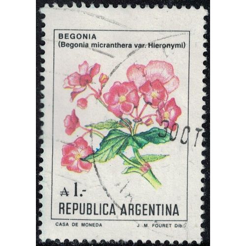 Argentine 1985 Oblitéré Used Plante Fleurs Begonia Micranthera Su