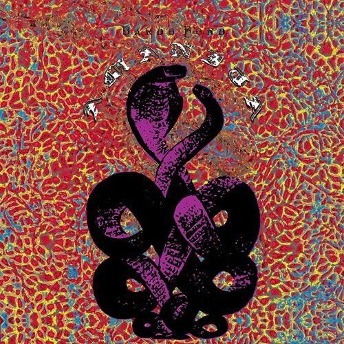 Amanita - Vinyle 33 Tours