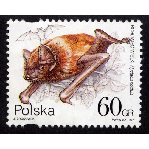 Timbre Polska,Borowiec Wielki,Nyctalus Noctula,1997,60gr