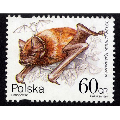 Timbre Polska,Borowiec Wielki,Nyctalus Noctula,1997,60gr