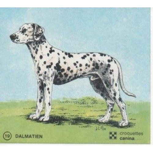 Dalmatien