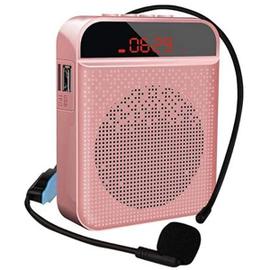 Universal - Amplificateur vocal portable haut-parleur sans fil microphone  mini hi-fi audio auxiliaire radio FM stéréo haut-parleur pour l'enseignant