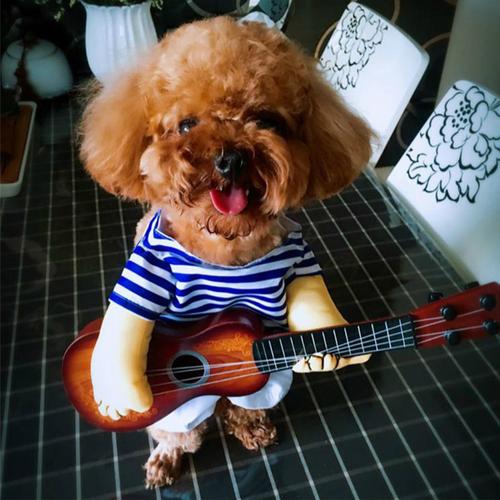 Costume De Guitare Pour Animal De Compagnie, Chemise À Manches Courtes Pour Chien Et Chat, Drôle, Meilleur Cadeau Pour Fête Cosplay, Fête De Week End