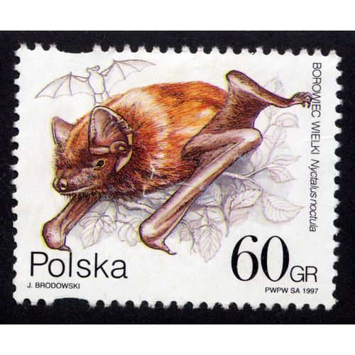 Timbre Polska,Borowiec Wielki,Nyctalus Noctula,1997,60gr