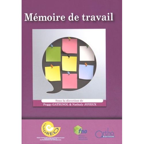 Mémoire De Travail