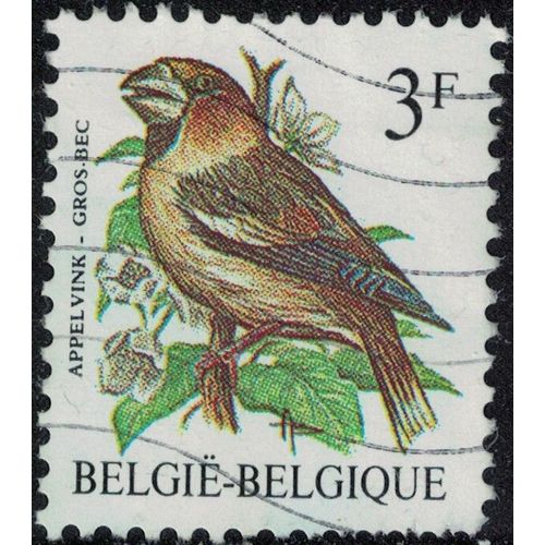 Belgique 1987 Oblitéré Used Oiseau Coccothraustes Coccothraustes Gros Bec Casse Noyaux Su