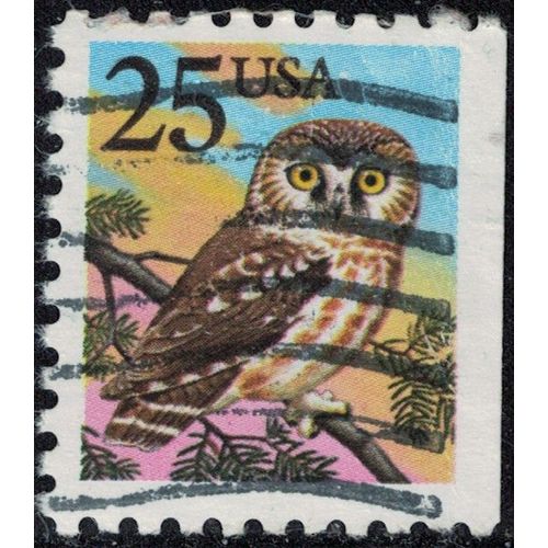 Etats Unis 1988 Oblitéré Used Oiseau Rapace Aegolius Funereus Nyctale De Tengmalm Chouette Boréale Y&t Us 1813 Su