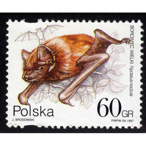 Timbre Polska,Borowiec Wielki,Nyctalus Noctula,1997,60gr