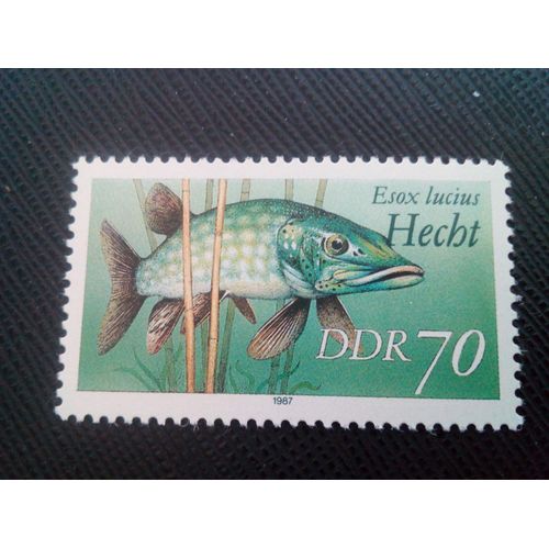 Timbre Allemagne / Rda Yt 2720 Grand Brochet (Esox Lucius) 1987 ( 51005 )