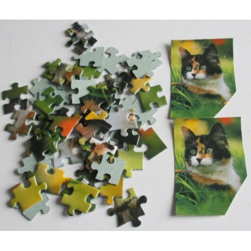 Petit Puzzle De 54 Pièces Représentant Une Tête De Chat - Dimensions Monté 13x17cm - Woolworth - En Pièces Détachées Et Sans L'emballage D'origine Mais Avec 2 Petites Photos De La Tête Du Chat