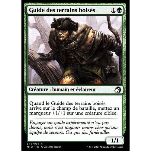Guide Des Terrains Boisés - Mtg - Innistrad : Chasse De Minuit - C - 202/277