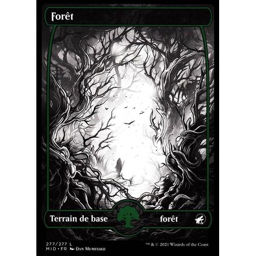 Forêt - Mtg - Innistrad : Chasse De Minuit - C - 277/277