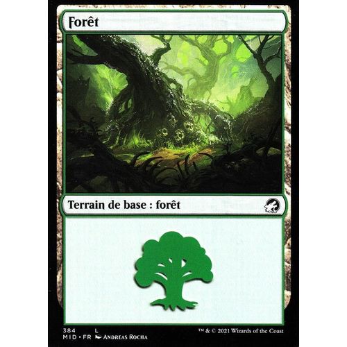 Forêt X2 - Mtg - Bundle Innistrad : Chasse De Minuit - C - 384