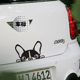Autocollant De Protection De Voiture Pour Honda, Hyundai, Kia, Volkswagen, Skoda, Golf, Ford Focus, Renault, Peugeot