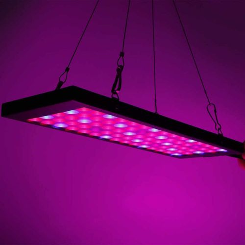 Lampe Horticole De Croissance Led, 13w, 110/240v Ac, Spectre Complet, Panneau Lumineux Pour Culture Hydroponique Intérieure De Plantes, Faible Consommation D'énergie