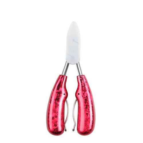 Coupe-Ongles Professionnel Pour Pieds Et Orteils, Accessoires De Nail Art, Coupe-Ongles, Pinces Paronychia, Chiropoterie, Soins Des Pieds 