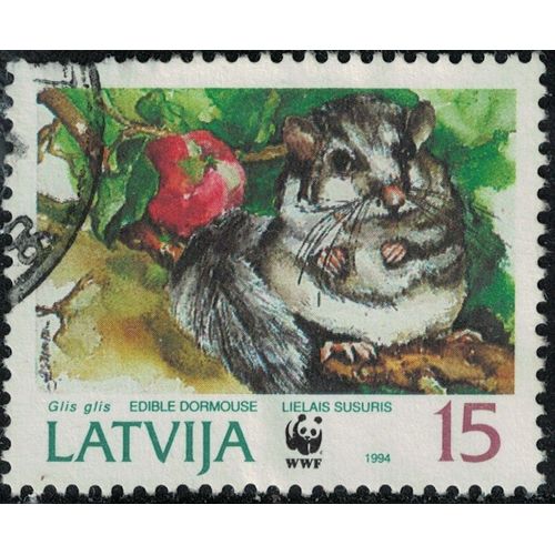 Lettonie 1994 Oblitéré Used Animal Rongeur Glis Glis Loir Gris Y&t Lv 348 Su