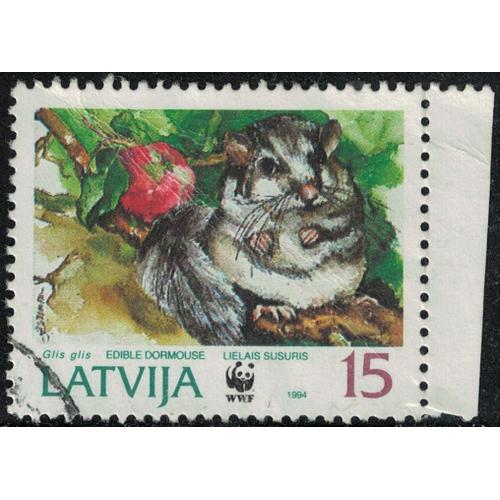 Lettonie 1994 Oblitéré Used Animal Rongeur Glis Glis Loir Gris Y&t Lv 348 Su