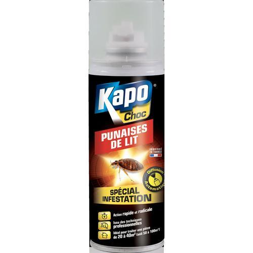 Aérosol punaise de lit Kapo 200ml