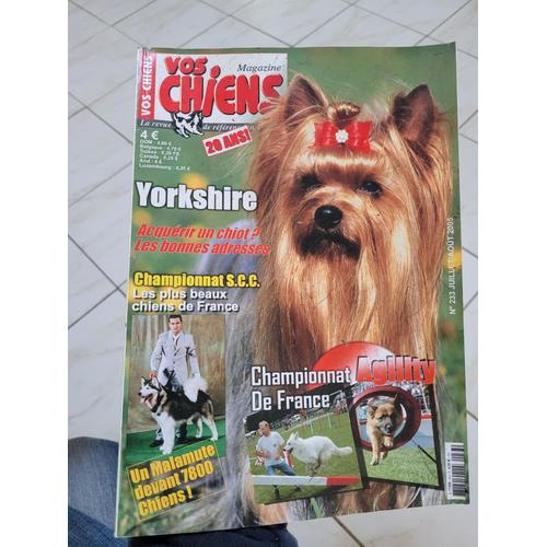 Vos Chiens 233 Yorkshire