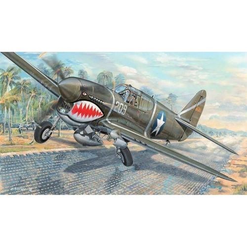 Maquette Avion : P-40f War Hawk-Trumpeter